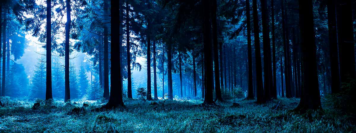 Black Forest in Germany