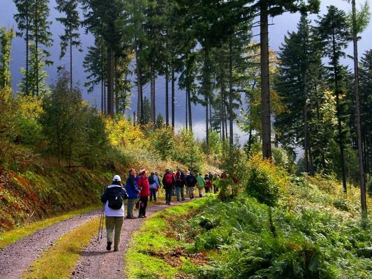 Black Forest - Schwarzwald-Wanderung, photo by Gerhard Moessner