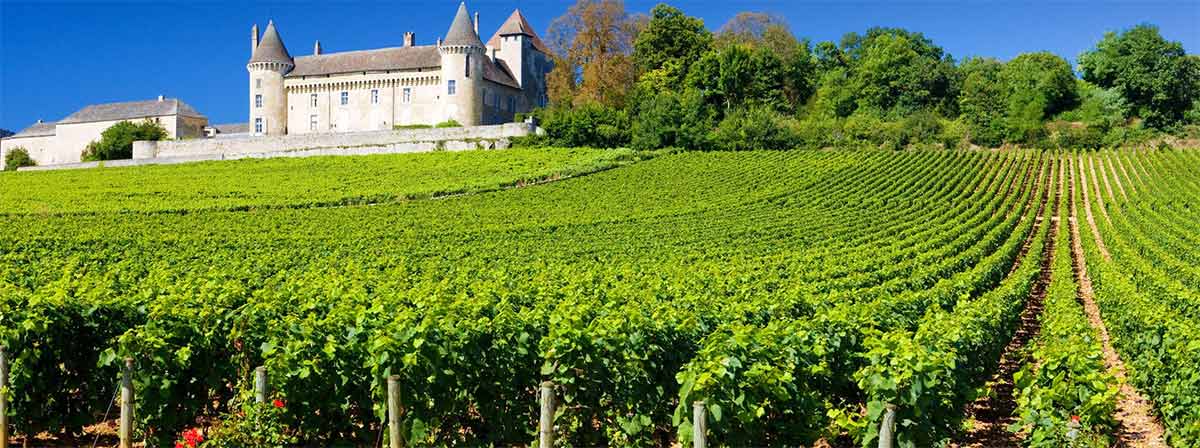 Burgundy vineyard trails, France