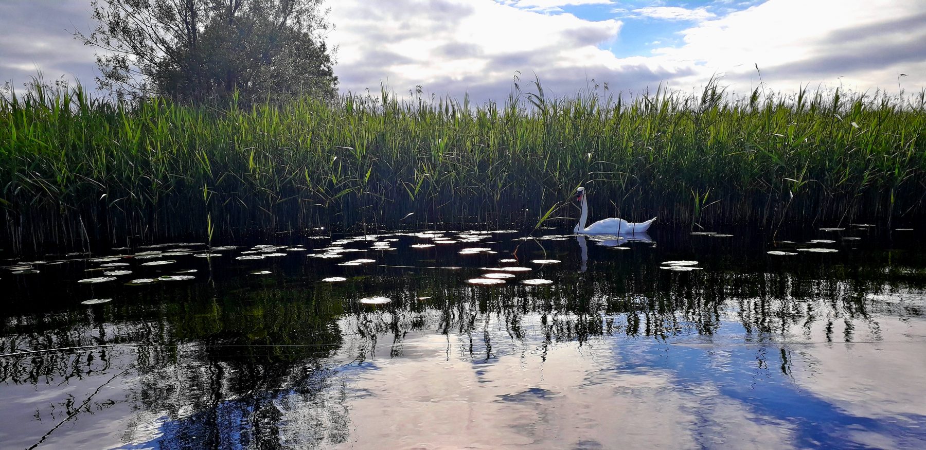 Lough Ree Cruise in Ireland